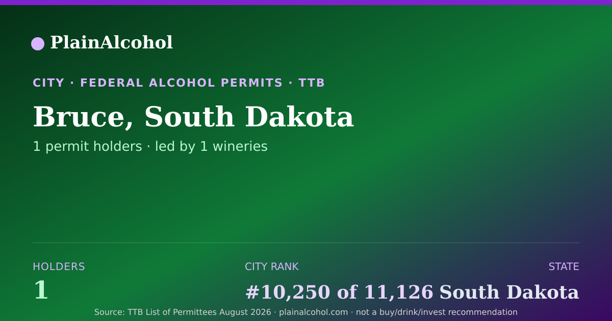 Shareable card for Bruce, South Dakota - 1 Alcohol Permit Holders
